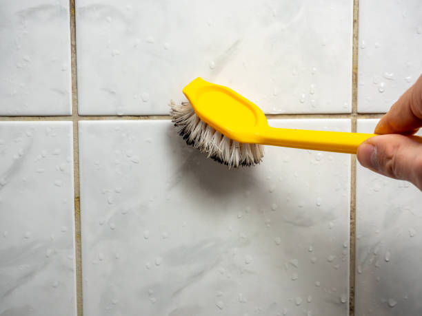 Professional Mold Removal in Kingman, AZ