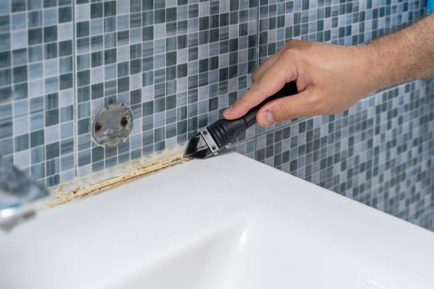 Best Office Mold Removal Services  in Kingman, AZ